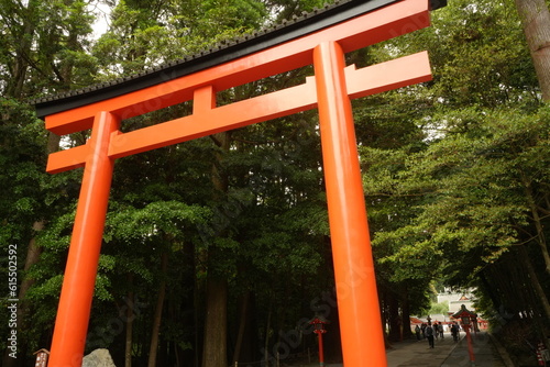 Torii Gate of Kirishima-jingu Shrine in Kagoshima  Japan -                                     