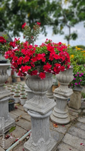 Wallpaper Mural Flower Torontodigital.ca