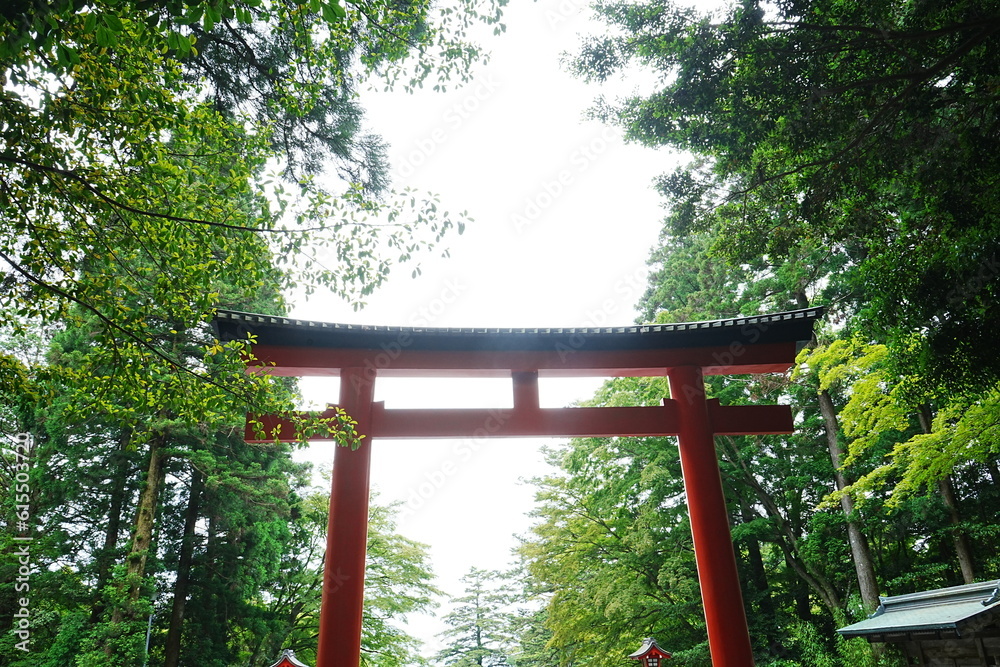 Torii Gate of Kirishima-jingu Shrine in Kagoshima, Japan - 日本 鹿児島 霧島神宮 鳥居 Torii Gate of Kirishima-jingu Shrine in Kagoshima, Japan - 日本 鹿児島 霧島神宮 鳥居