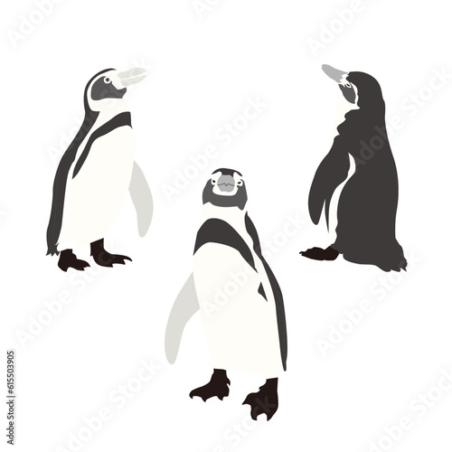 ペンギンのイラスト