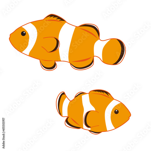 クマノミのイラスト