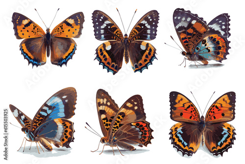 set of butterflies isolated © I LOVE PNG