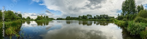 panorama country side with pond  reeds  trees