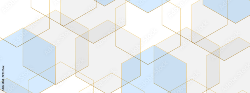 Luxury colorful white and blue hexagonal abstract background with shadow. Geometric 3d texture illustration. Abstract hexagonal concept technology, banner and wallpaper background. Luxury colorful white and blue hexagonal abstract background with shadow. Geometric 3d texture illustration. Abstract hexagonal concept technology, banner and wallpaper background.