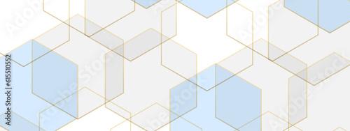 Luxury colorful white and blue hexagonal abstract background with shadow. Geometric 3d texture illustration. Abstract hexagonal concept technology, banner and wallpaper background.