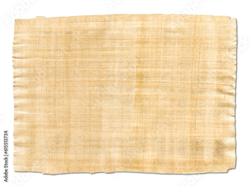 Old papyrus texture isolated on white background
