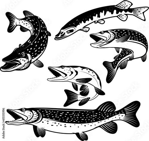 Pike fish icons. Design elements for fishing club or team. Seafood. Vector illustration.