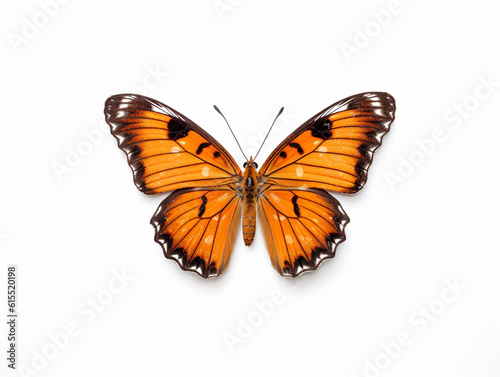 Illustration of a beautiful butterfly isolated on white background. The flap is expanded showing the entire pattern on the flap. © Aisyaqilumar