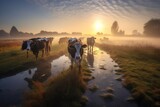 Cows in field during dawn in the morning. Generative ai image