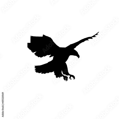 Eagle in the sky. Eagle silhouette. Black and white eagle illustration.