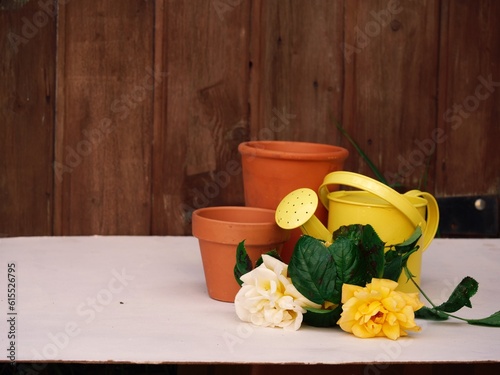 Yellow watering can and roses with terracotta plant pots on background photo