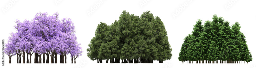 group of trees isolated on a transparent background, big trees in the forest, 3D illustration, cg render group of trees isolated on a transparent background, big trees in the forest, 3D illustration, cg render