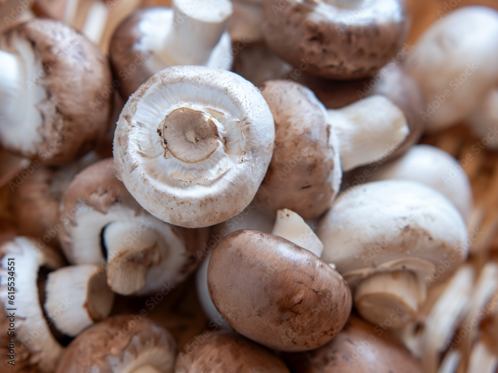 Brown and White Mushrooms in Hand for a Delicious Dish