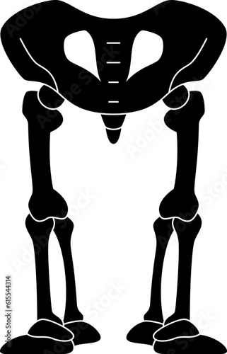 pelvic  icon