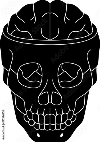 skull  icon