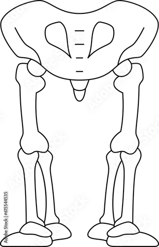 pelvic  icon