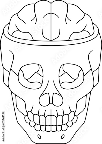 skull  icon