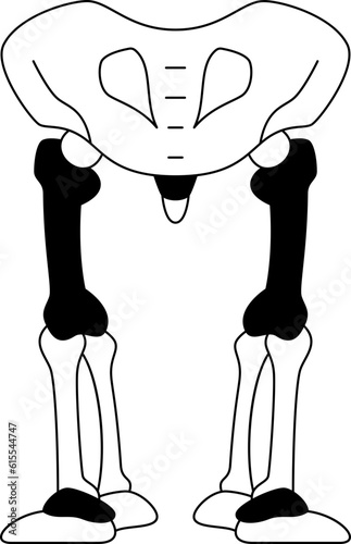 pelvic  icon