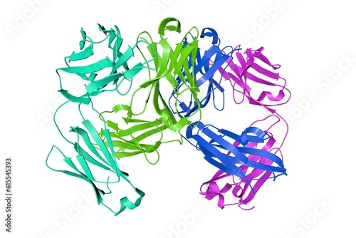 Structure of Herceptin Fab without antigen. Ribbons diagram with differently colored protein chains based on protein data bank entry 6mh2. 3d illustration