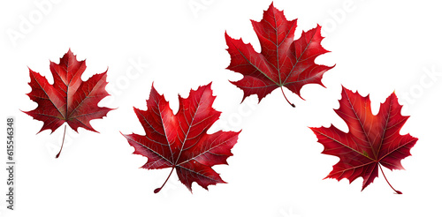 Red sugar maple leaf on transparent background, generative ai 