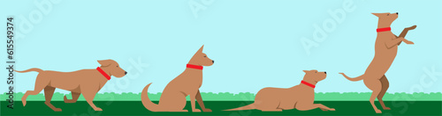 set of dogs in various positions