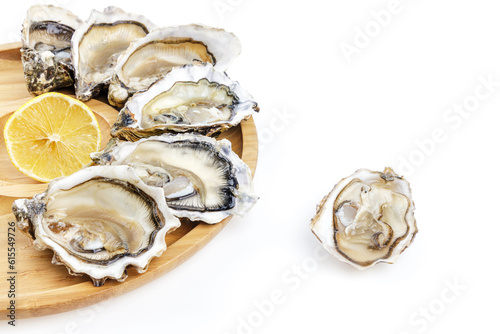 oysters with lemon on a white background for the site 4