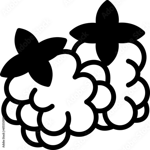 blackberry  icon