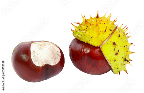 Marrons d'Inde	