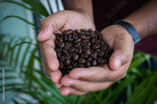 Young men Hand holding roasted coffee beans