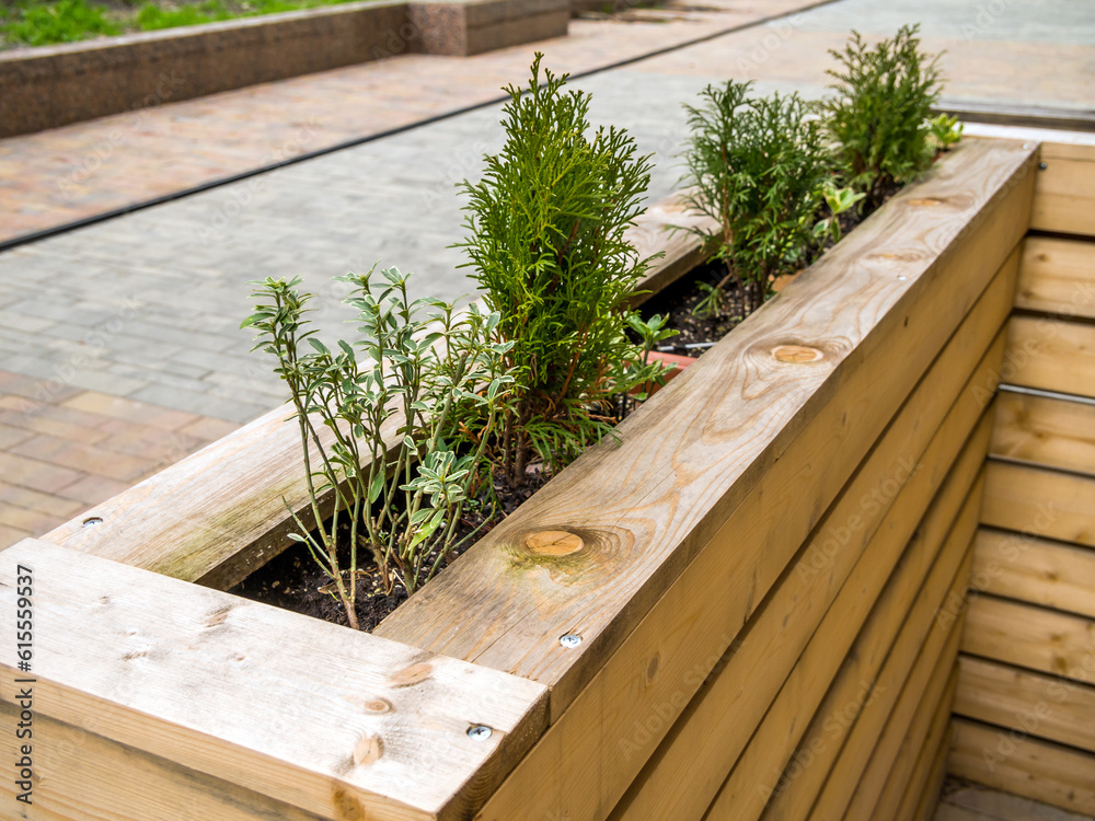 Making a decorative wooden fence with plants Making a decorative wooden fence with plants