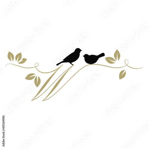 Photography birds on a branch, golden letter w