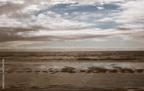 Fototapeta Naklejka Na Ścianę i Meble -  Landscape of the sea at low tide