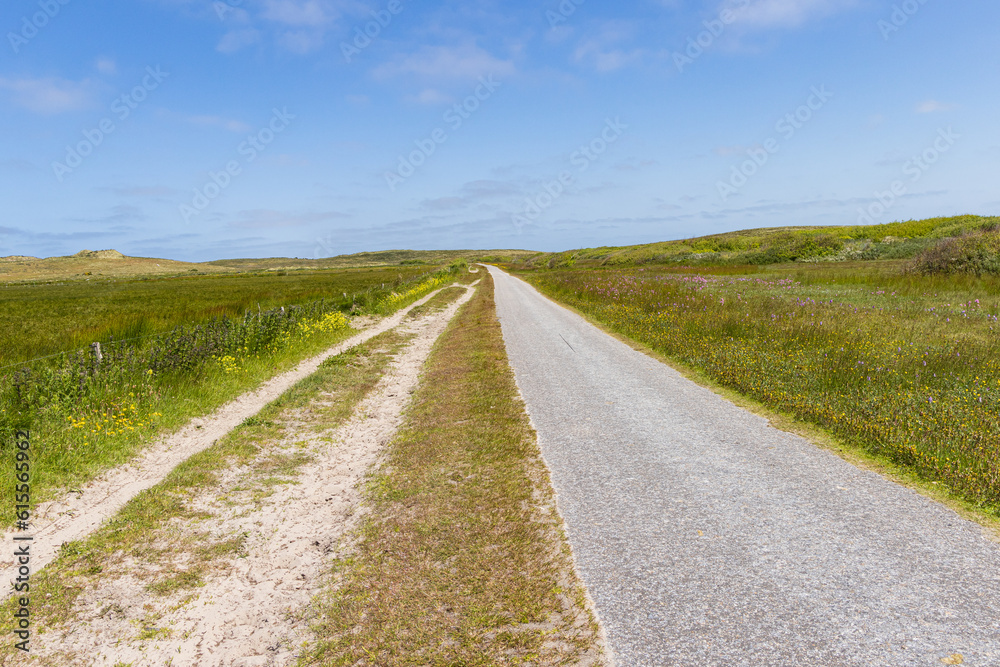 Landscape nature reserve Boschplaat at Wadden island Terschelling in Friesland province in The Netherlands