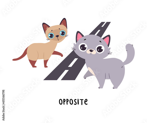 Little Cat Stand Opposite the Road as English Language Preposition for Educational Activity Vector Illustration