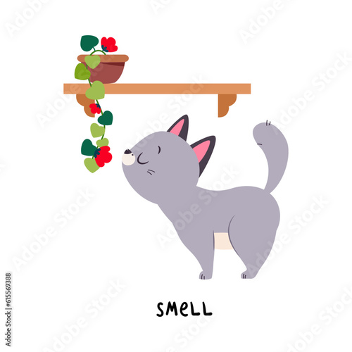 Funny Grey Cat Smell Flower as English Verb for Educational Activity Vector Illustration
