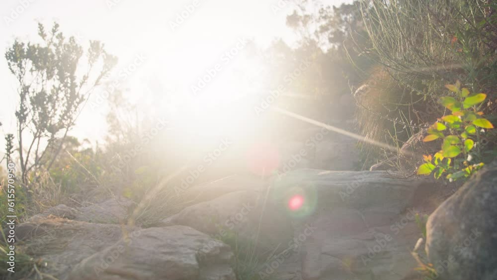 A small hiking trail up a hill with the sun in the background, Eagles Nest, Constatia, Cape Town
