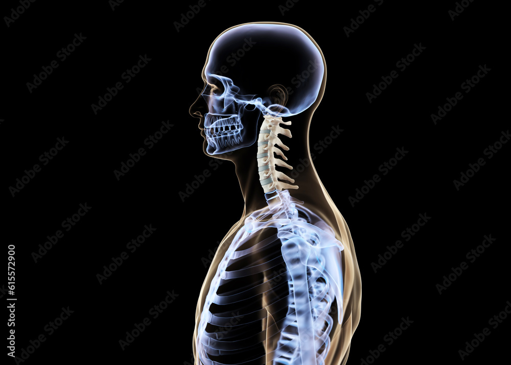 Cervical spine x-ray side view Cervical spine x-ray side view