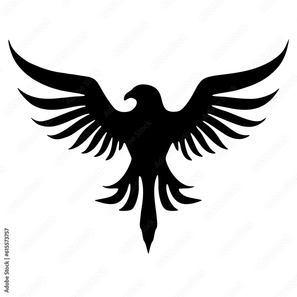 Fototapeta premium eagle in flight