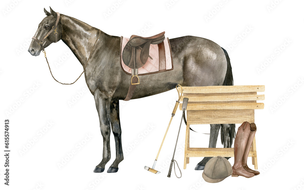 Watercolor illustration of a standing English Thoroughbred bay horse