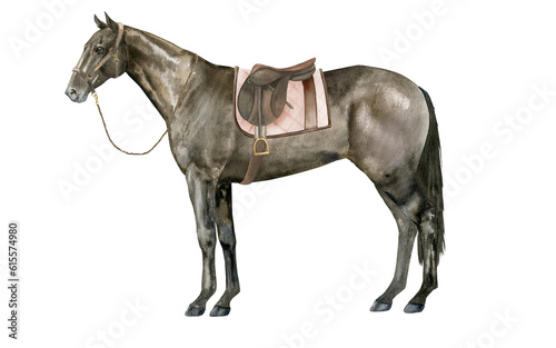 Watercolor illustration of a standing English Thoroughbred bay horse under a brown saddle wearing a brown halter. Isolated. For prints on the theme of riding, equestrian sports, horse racing