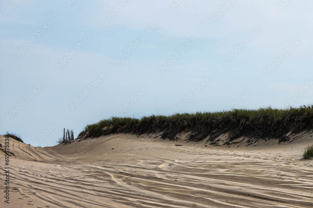 Beach where vehicles have driven to road over horizon with beach grass - Room for text -big sky Beach where vehicles have driven to road over horizon with beach grass - Room for text -big sky