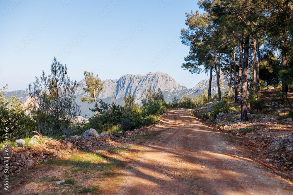 Fototapeta premium mountain road meandering along the slope of a forested mountain in the summer of Turkey. Mountains and forest.