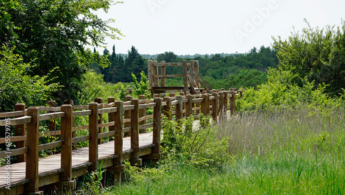 wooden jetty at vrana lake