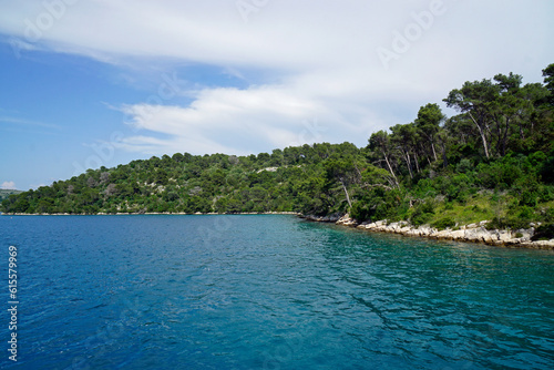 coastal landscape in northern croatia © chriss73