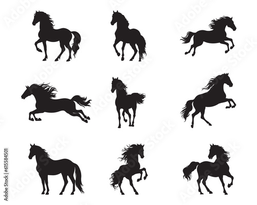 Fototapeta Naklejka Na Ścianę i Meble -  Silhouette horse collection - vector illustration