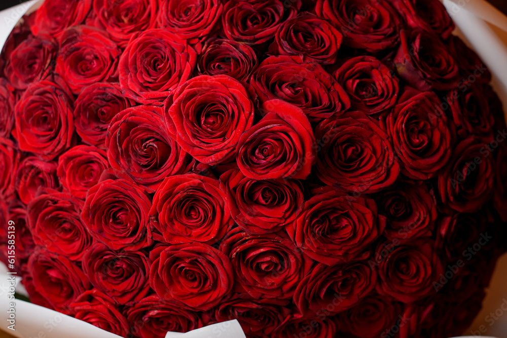 Close up view of large red roses bouquet in room interior. Happy st. valentine's day concept. Close up view of large red roses bouquet in room interior. Happy st. valentine's day concept.