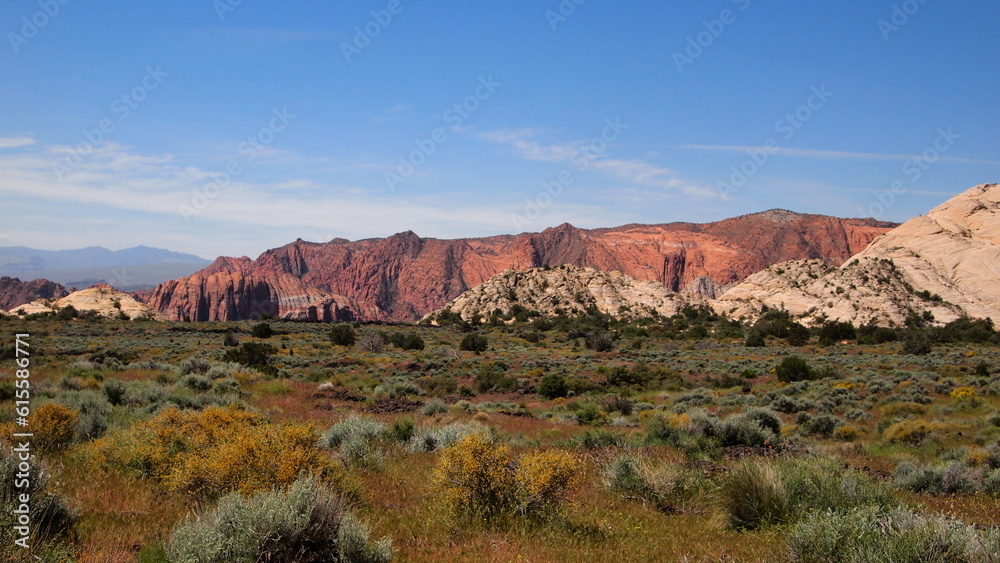 Fototapeta premium White and red sand stone landscape in Utah