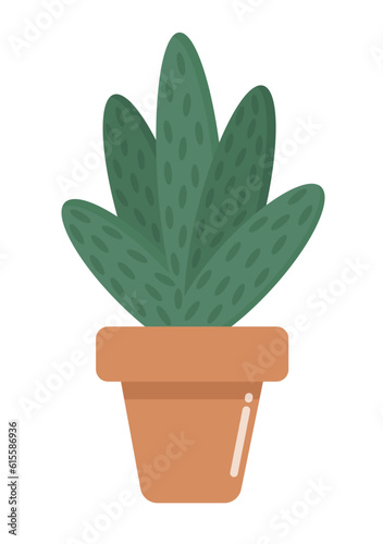 Color flat vector illustration in cartoon style. Cactus and succulent in flower pot. House plants isolated on a white background. Trendy home decor for stickers