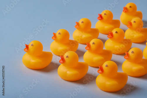 toy ducks on a blue background © st.kolesnikov