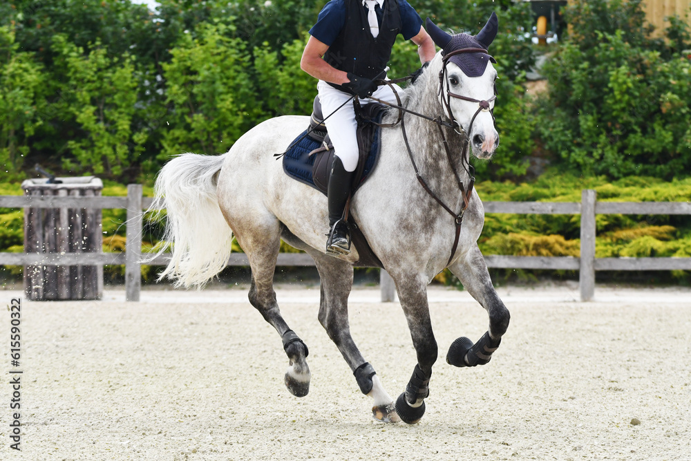 saut d'obstacle dans un concours hippique saut d'obstacle dans un concours hippique